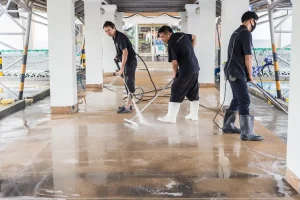 Best Way To Deep Clean Tile Flooring And Grout Lines