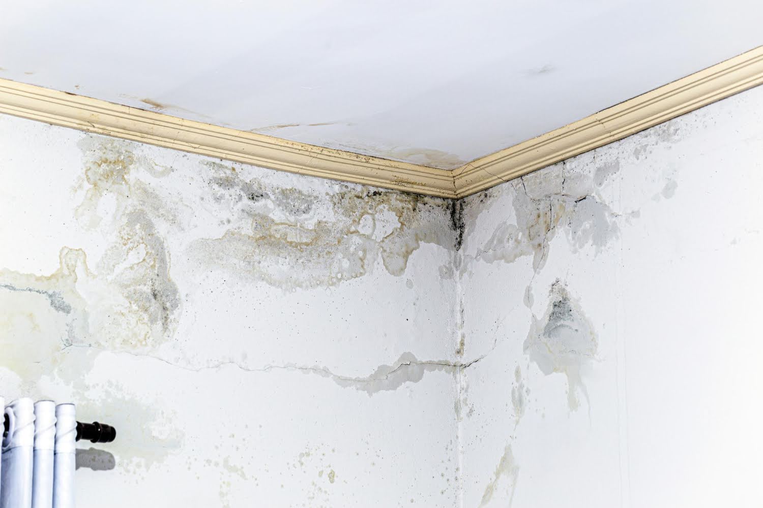 Clean Mould Off Your Bathroom Ceiling